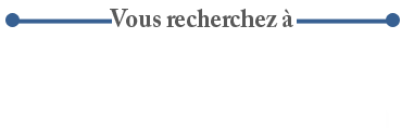 Vous recherchez à